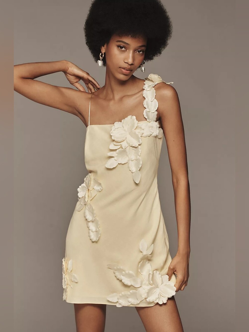 Hutch 3D Floral Appliqué Linen Blend Dress